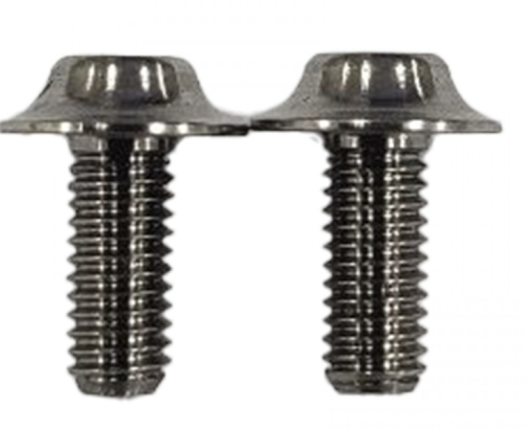 Reved TI SPM Motor Screw 2pcs