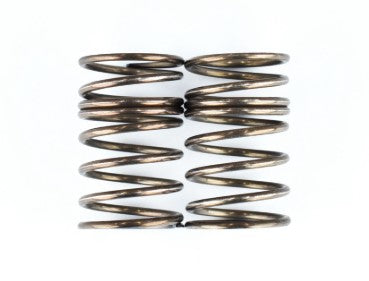 REVED RDX Shock Spring (Rear) 2pcs.