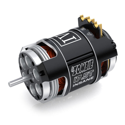 Team Zombie Insane IV 17.5t outlaw IR>18ohm